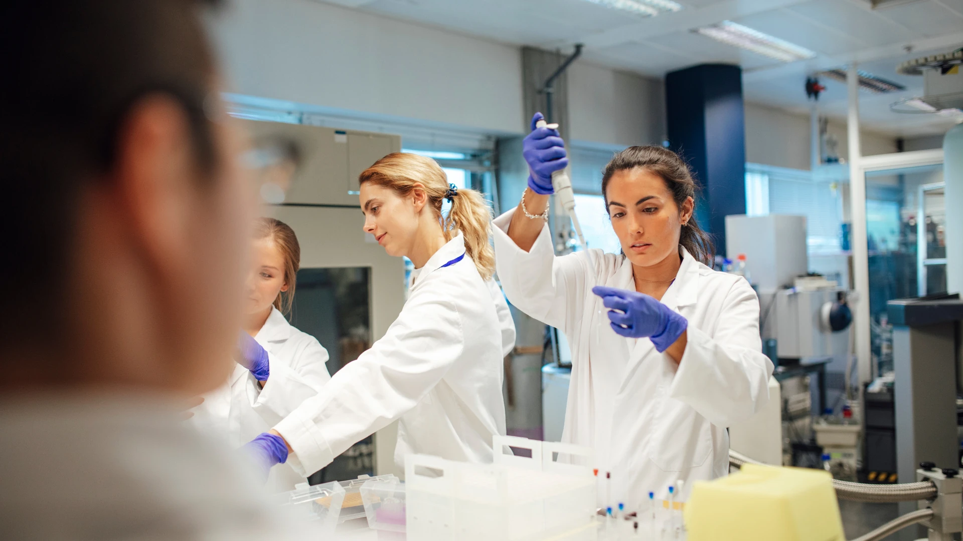 Research Scientist Jobs image